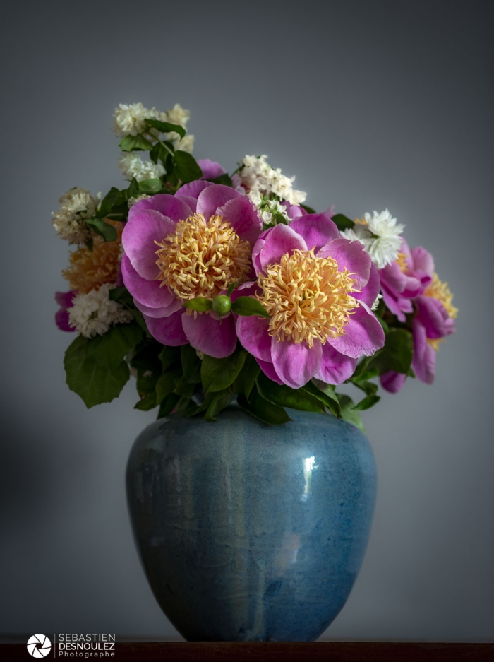 Nature morte d'un magnifique bouquet de pivoines et de seringat - Photo : © Sebastien Desnoulez photographe d'ambiances