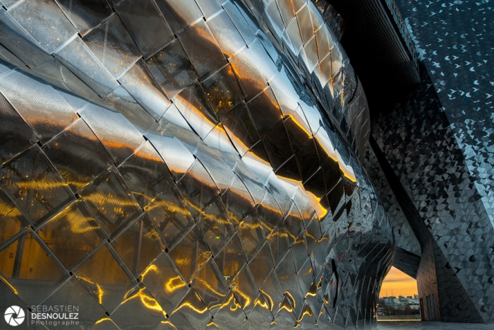 Philharmonie De Paris, Parc De La Villette, Paris   Photo : Sebastien Desnoulez Photographe D'architecture
