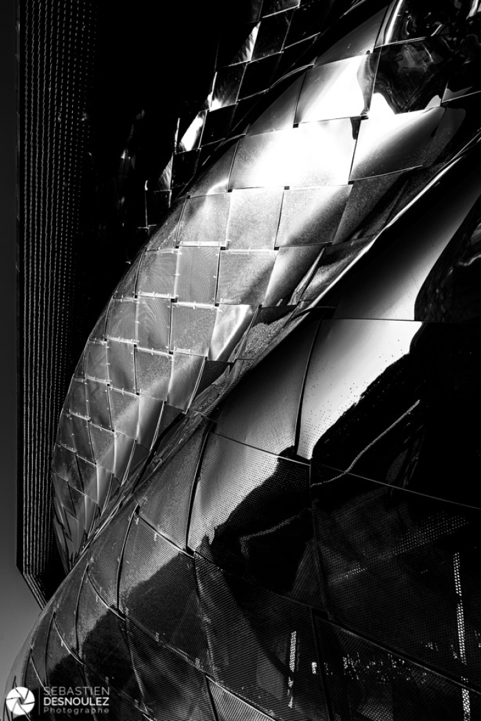 Philharmonie de Paris -  Photo : © Sebastien Desnoulez Photographe Auteur