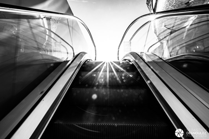 Surprise en haut de l'escalator, Philharmonie de Paris -  Photo : © Sebastien Desnoulez Photographe Auteur