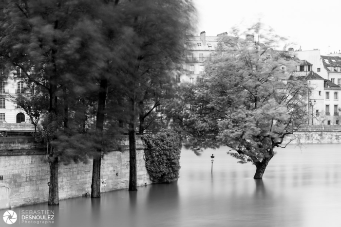 Quai de l'Île Saint Louis inondé, juin 2016 - Photo : © Sebastien Desnoulez