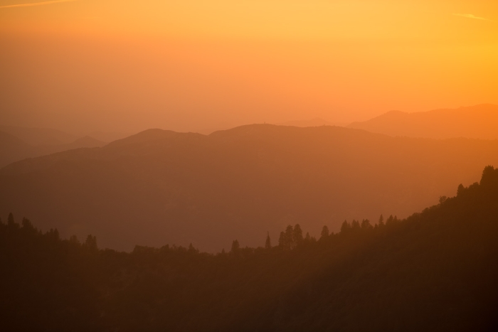 Sequoia Park 07 Photo Sebastien Desnoulez Photographe Paysagiste