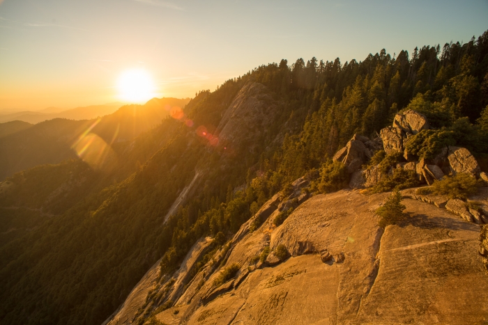 Sequoia Park 08 Photo Sebastien Desnoulez Photographe Paysagiste