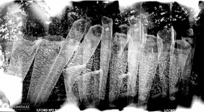 Surimpression De Grillages Photographiés Au Holga Sur Film Ilford XP2   Festival Des Parcs Et Jardins   Chaumont Sur Loire   2004   Photo : © Sebastien Desnoulez