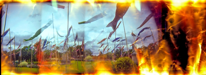Surimpression De Manches À Air Photographiées Au Holga Sur Film Fuji   Jardin D Acclimatation Paris   2005   Photo : © Sebastien Desnoulez