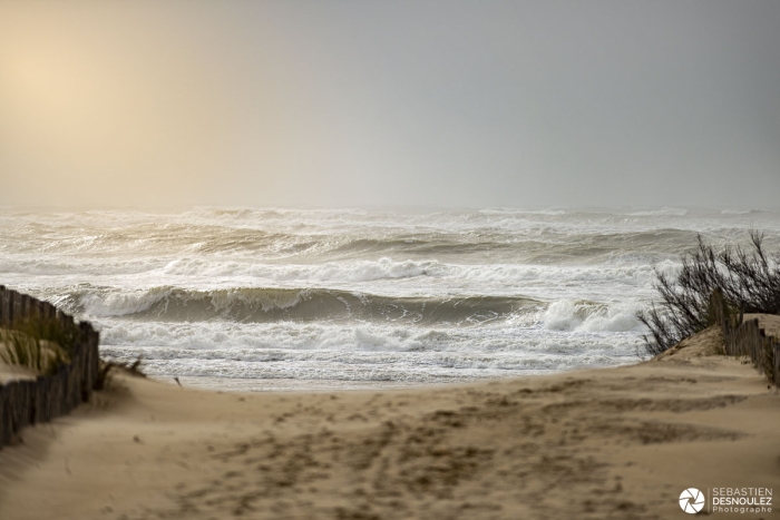Tempête Ciara sur la côte sauvage en Charente Maritime - Photo : © Sebastien Desnoulez photographe paysagiste
