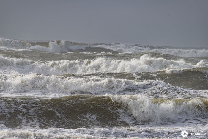 Tempête Ciara sur la côte sauvage en Charente Maritime - Photo : © Sebastien Desnoulez photographe paysagiste