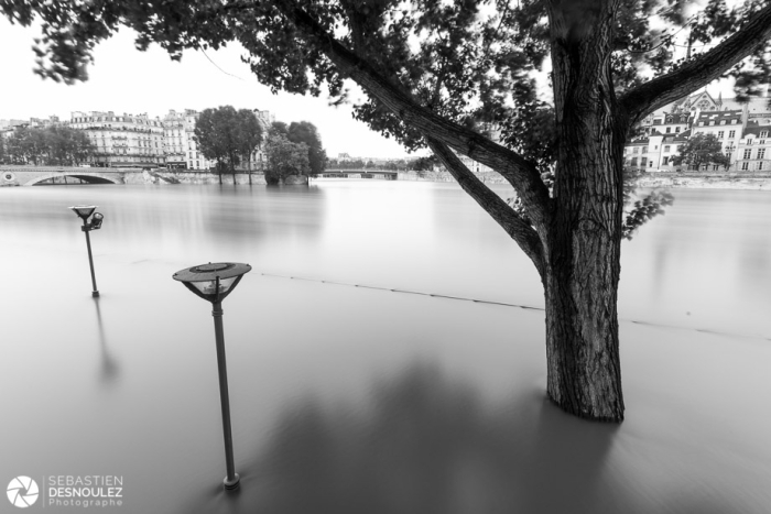 Les voies sur berges inondées par la Seine à Paris, juin 2016 - Photo : © Sebastien Desnoulez