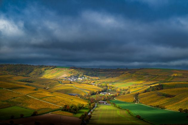 Couleurs d'automne - vignobles de Sancerre, Bourgogne - Photo : © Sebastien Desnoulez