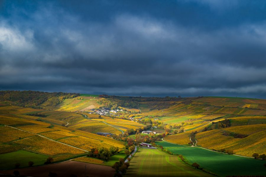Couleurs d'automne - vignobles de Sancerre, Bourgogne - Photo : © Sebastien Desnoulez