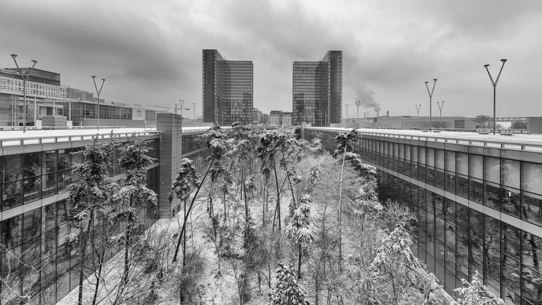 Bibliothèque François Mitterrand à Paris - Photo : © Sebastien Desnoulez Photographe d'architecture