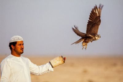 Chasse au faucon à Dubai en 1991 - Photo : © Sebastien Desnoulez