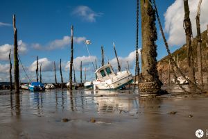 La Forêt Engloutie - Port de Gwin Zegal - Lumières de Bretagne - Photo : © Sebastien Desnoulez photographe d'ambiances et de paysage