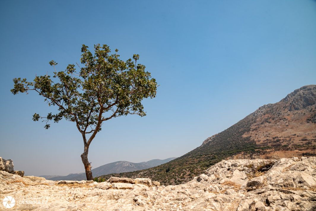 Mycenes Grece Photo Sebastien Desnoulez Photographe Auteur J