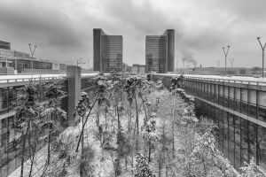 Bibliothèque François Mitterrand à Paris - Photo : © Sebastien Desnoulez Photographe d'architecture