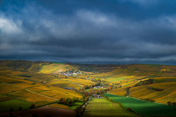 Couleurs d'automne - vignobles de Sancerre, Bourgogne - Photo : © Sebastien Desnoulez