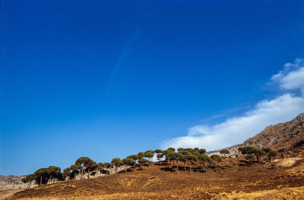 Paysage du Mont Liban 1991 5 Photo Sebastien Desnoulez