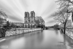 La Seine en crue à Notre-Dame de Paris - Photo : © Sebastien Desnoulez Photographe Architecture