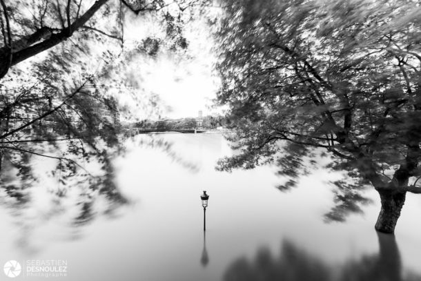 La pointe aval de l ile Saint Louis sous l eau, juin 2016 - Photo : © Sebastien Desnoulez