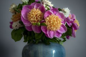 Nature morte d'un magnifique bouquet de pivoines et de seringat - Photo : © Sebastien Desnoulez photographe d'ambiances