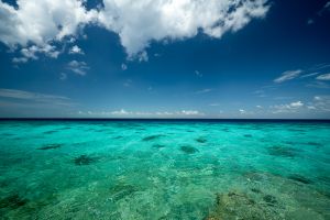 Baie des Cochons, Cuba - Photo : © Sebastien Desnoulez Photographe Auteur