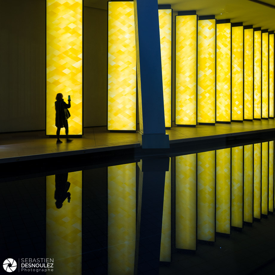 Inside the Horizon - Olafur Eliasson à la Fondation Louis Vuitton Photo : Sebastien Desnoulez