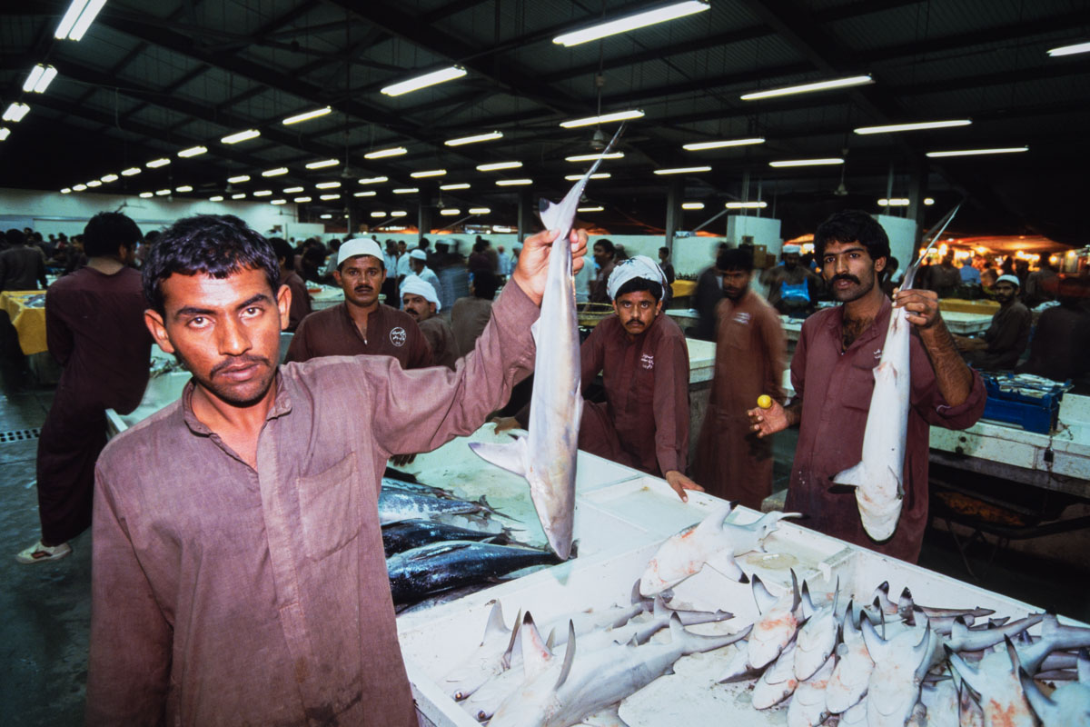 Dubai 1991 - Marché au poisson - Photo © Sebastien Desnoulez