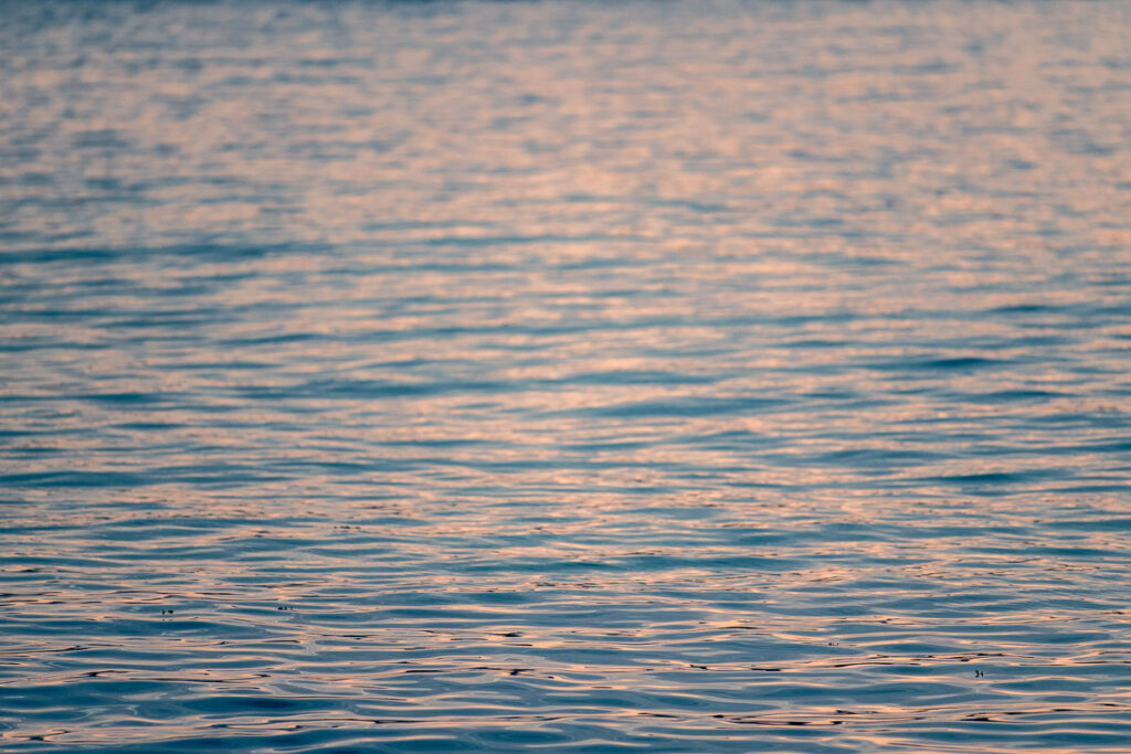 Reflets du soleil couchant Plougasnou Septembre 2026 Photo Sebastien Desnoulez