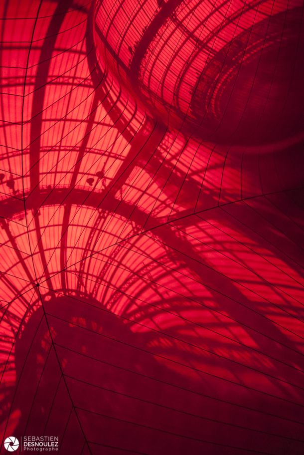Monumenta 2011 - Installation Anish Kapoor Grand Palais, Paris - Photo : © Sebastien Desnoulez