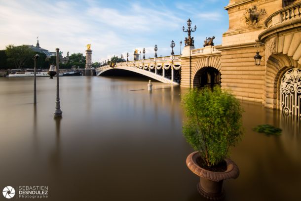 La Seine en crue au Pont Alexandre III, juin 2016 - Photo&nbsp;: © Sebastien Desnoulez